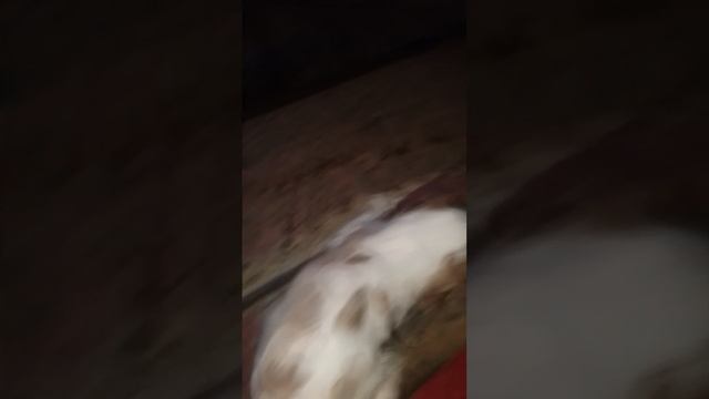 1000036841.mp4
