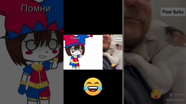 Реакция ПОМНИ на видео из TikTok!