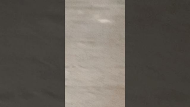 3 часть на аллее в детстве