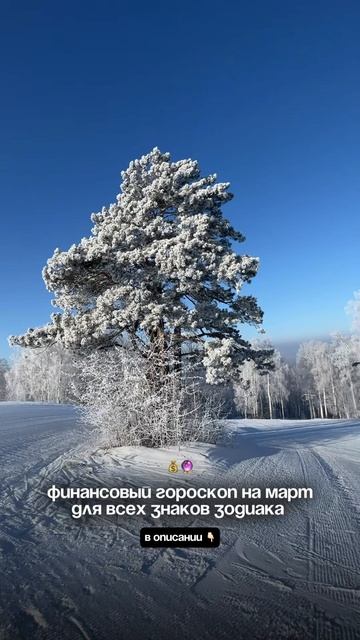 Бизнес-гороскоп на март 2025 года для всех знаков зодиака🌷