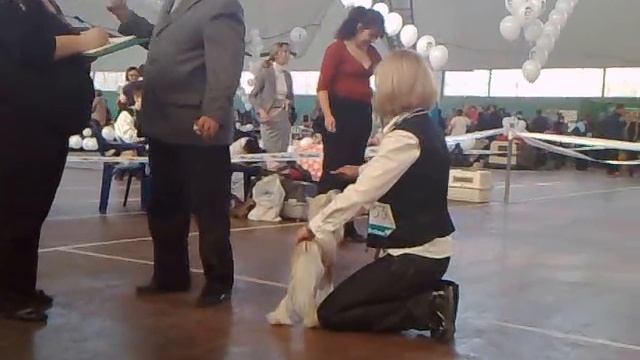 23102011021.mp4