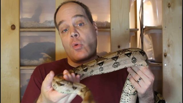 Boas With Kinks And Other Malformations