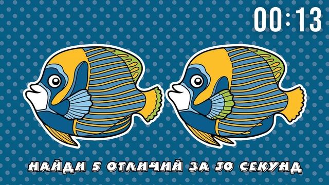 5 Отличий Императорский Ангел