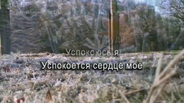 1000023511.mp4