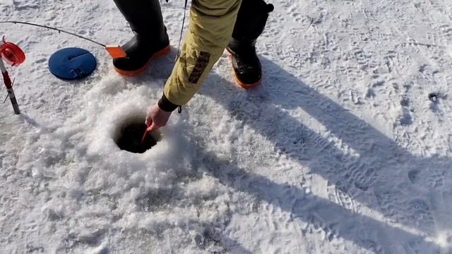 Поимки форели