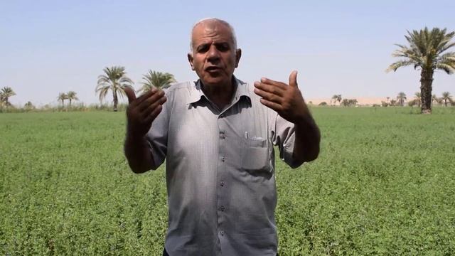 زراعة الأعلاف الخضراء.. اتصل بالدكتور مصطفى عبدالجواد بمركز البحوث الزراعية
