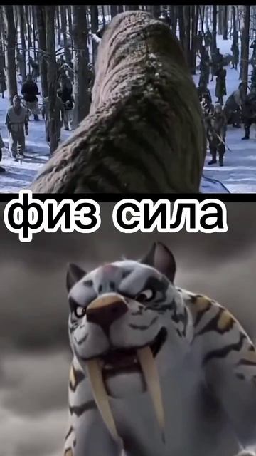 горный лорд (Великий тигр 2015) vs  Лёдиной тигр (гон 2015)