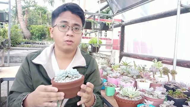 Summer vs Winter Sa Mga Succulents / Growing Season & Dormancy