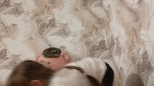 дочка кошка Кити...