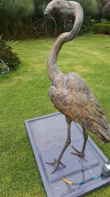 Goliath Heron with barbel