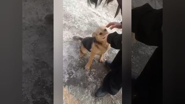 YouCut_20250222_204342376.mp4