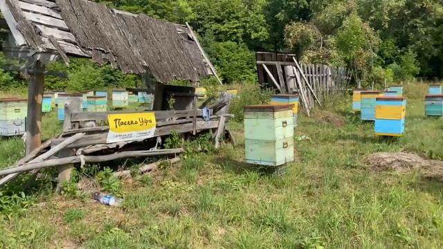 Пасека Уфа