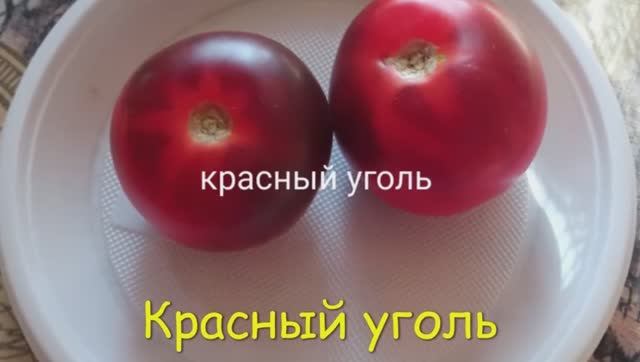 Каталог томатов 2024 г. Часть 6. Проверенные сорта.  г. Киров.