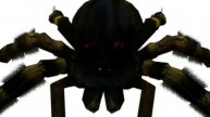 Mygale - gal - skined