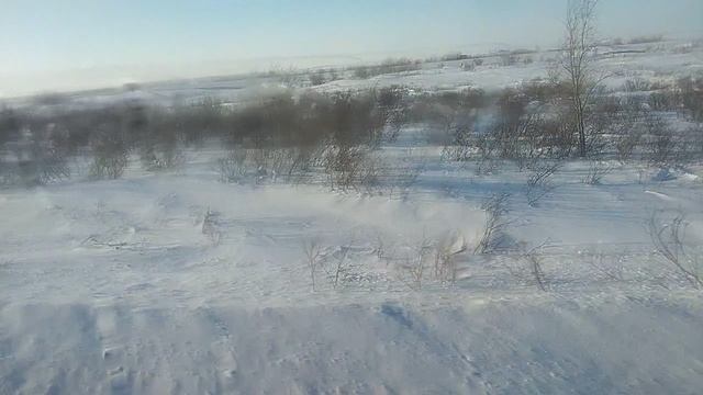 Снежная степь за окном в дороге My favorite yard