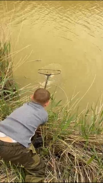 где-то в Дагестане 2, сазан