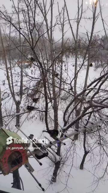 Холодно и Голодно!