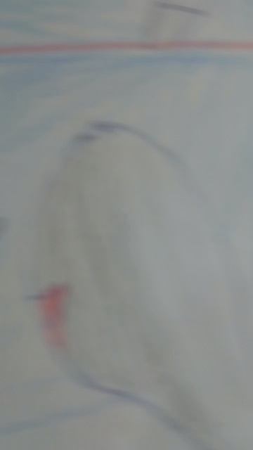 Страхи кота (часть 1)