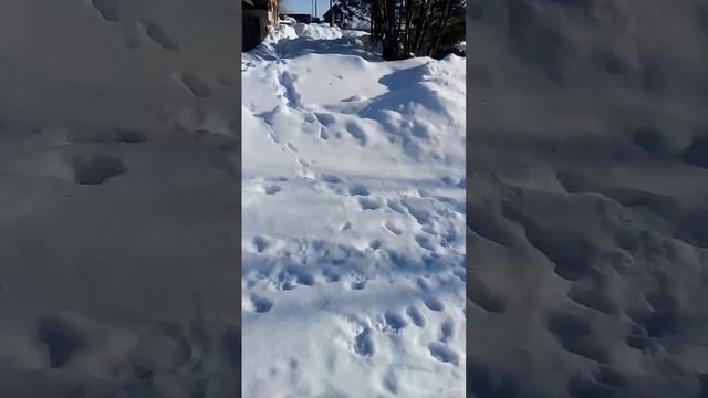 вот это зима