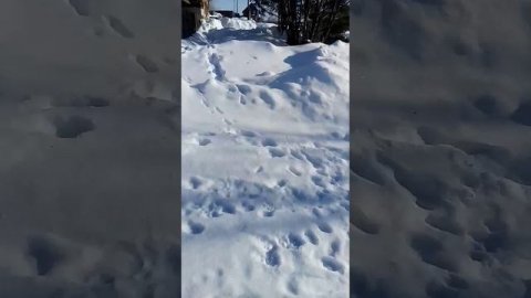 вот это зима