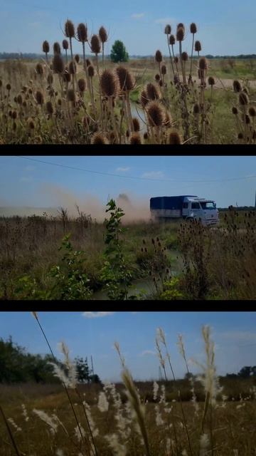 #cinematic #shorts  #naturephotography #colorgrading #iphone14pro #abbott #campo #rural #rurallife