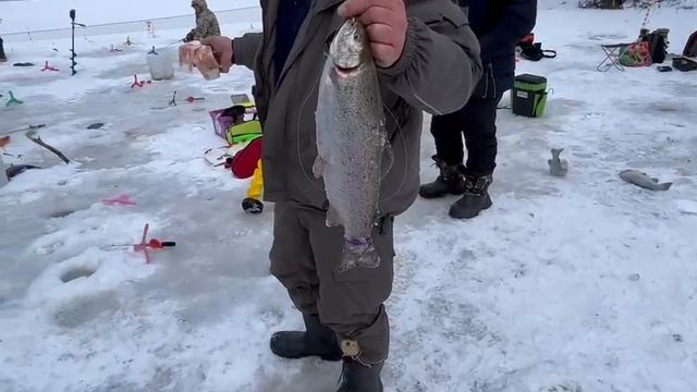 22.02.25 г. РК Волна