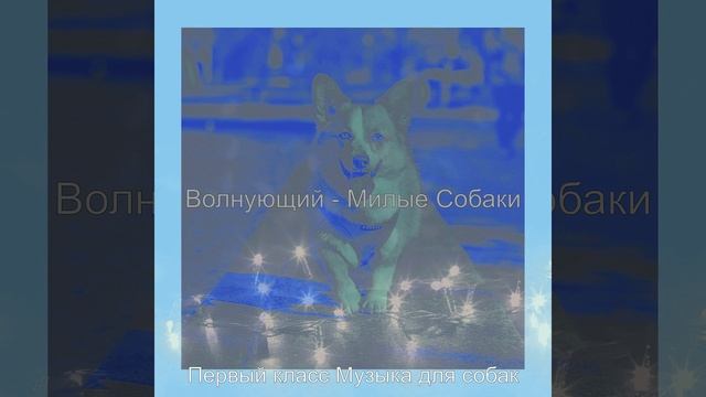 Впечатление (Щенки)