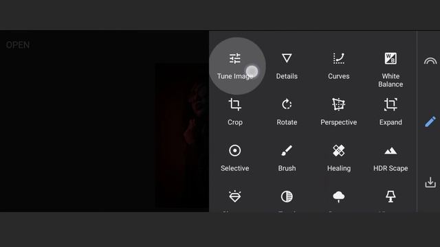 How to Edit Neon Light Effect Snapseed Tutorial | Dual Tone Effect Photo Editing