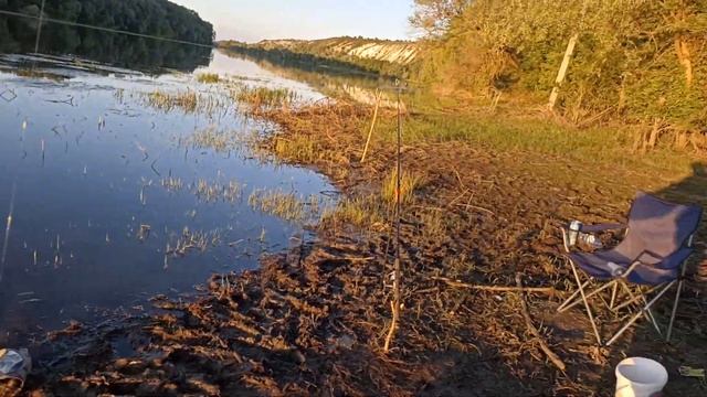 КАРАСЬ НА ФИДЕР р. Дон #fishing #дон #карась #рыбалка