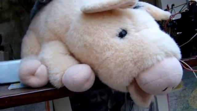 SVIN нах нах.mp4