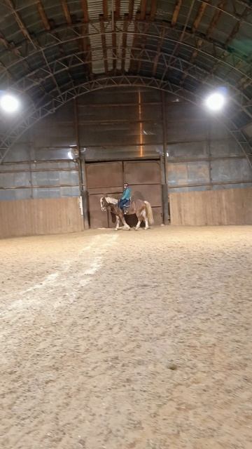 Анна и Каспер, переходы галоп шаг, галоп контргалоп. #horse #equestrian #лошади #pony
