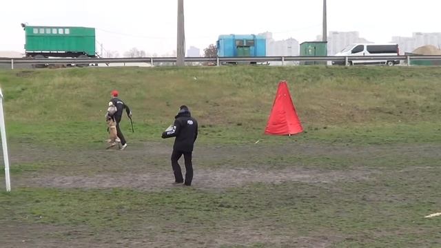Tirana Forward Ukraine IPO1, С-96