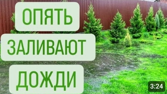 НУ ВОТ... ОПЯТЬ ЗАЛИВАЮТ ДОЖДИ... 21.04.2024г. БЕЛАРУСЬ, ГОМЕЛЬСКАЯ ОБЛАСТЬ