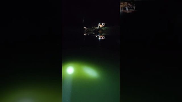 Night fishing arapaima Thailand