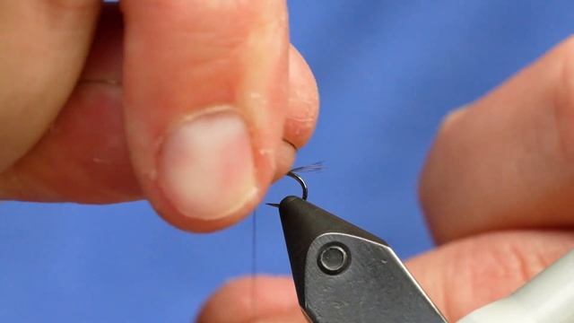 A Lethal Euro Nymph | Egan's Black Thread Frenchie | Fly Tying Tutorial