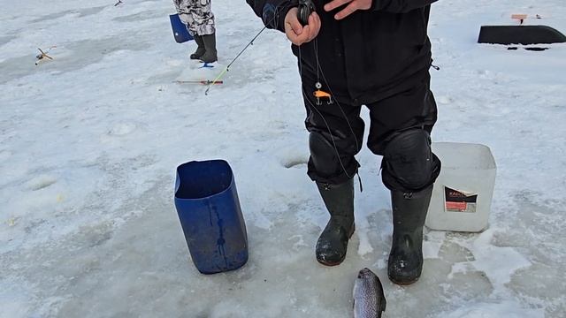 22.02.25 г. Парк отдыха водопад