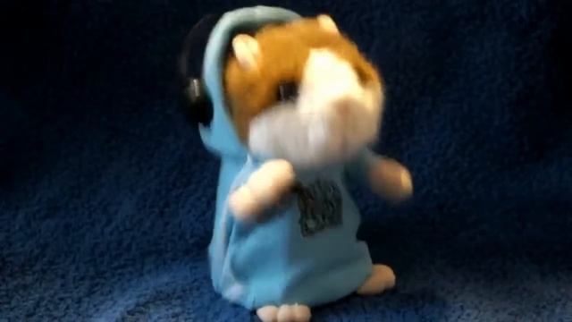 Хомяк диджей DJ