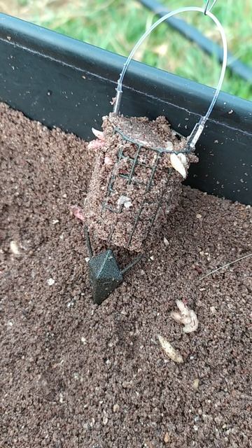 Кормушка пуля.