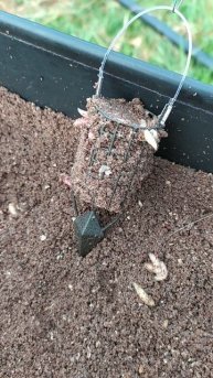 Кормушка пуля.