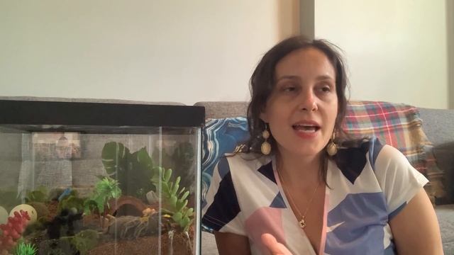 SASSY Tarantula Behavior (That I LOVE) !!!