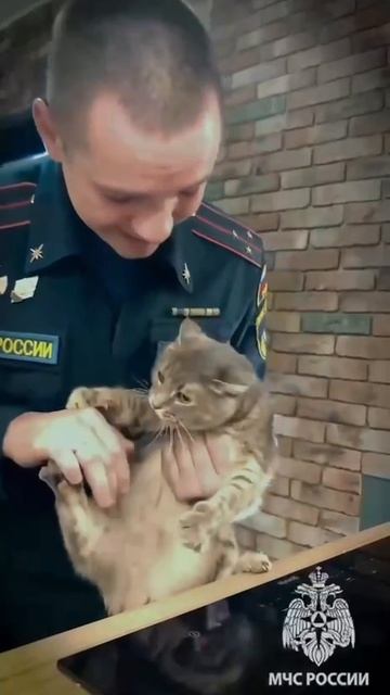 🐈Сотрудник МЧС хотел наглядно показать, как котик лапкой может включить плиту🐈