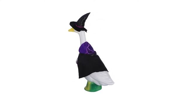 Witch Goose Outfit | Gaggleville
