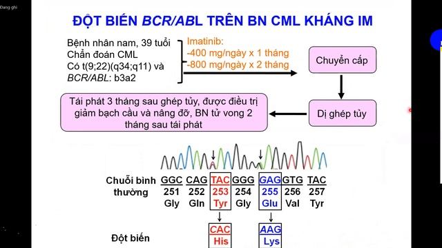 BÀI 6 : ỨNG DỤNG SHPT TRONG BỆNH LÝ HUYẾT HỌC
