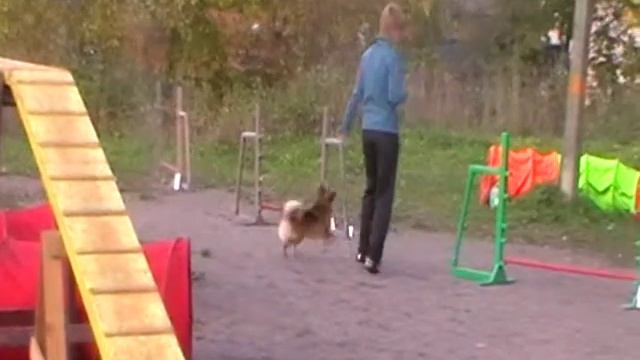 Света и Берта. Новички.
