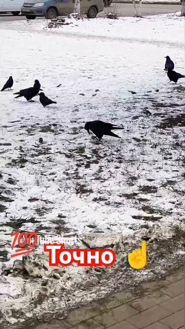 Бывший трус 💯
