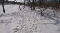 Ламповая покатуха