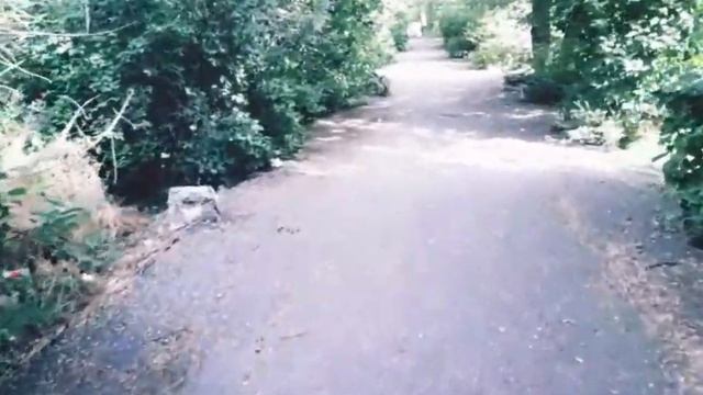 Впечатления дня. Один из механизмов "дня сурка" #впечатления #деньсурка
