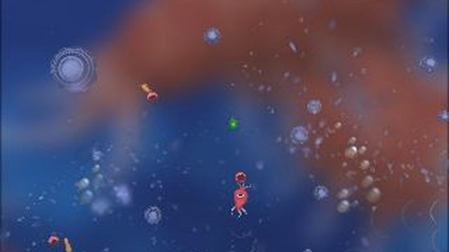 подводный мир споре