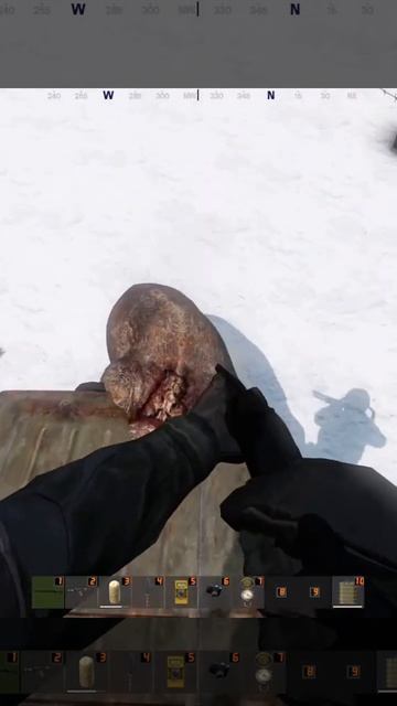 ОТСТАВИТЬ ПАНИКУ!  #stalker #stalkerrpdayz #сталкер #gaming #игры #dayz #shorts #shots #funny #video