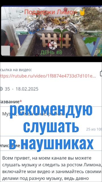 Музыка от Лимона